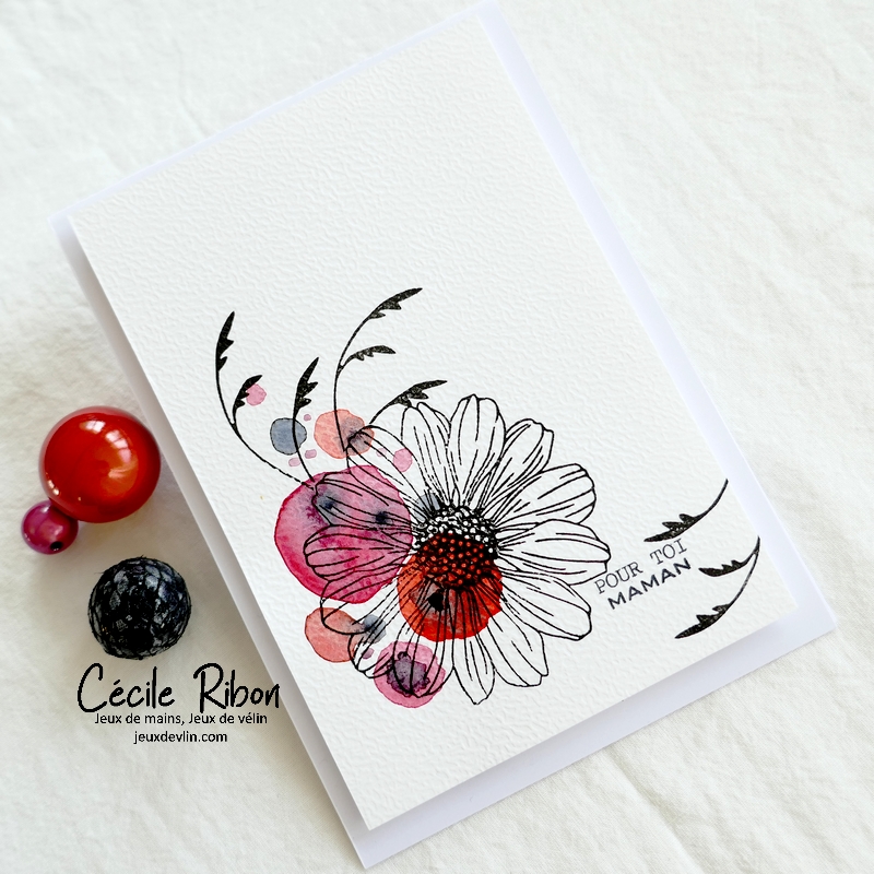 Carte CBBB68 - P1320282