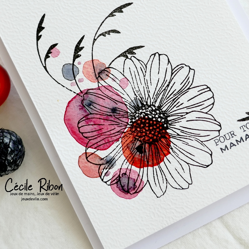 Carte CBBb68Det - P1320282