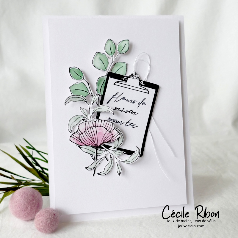 Carte CC&amp;S464 - P1320120