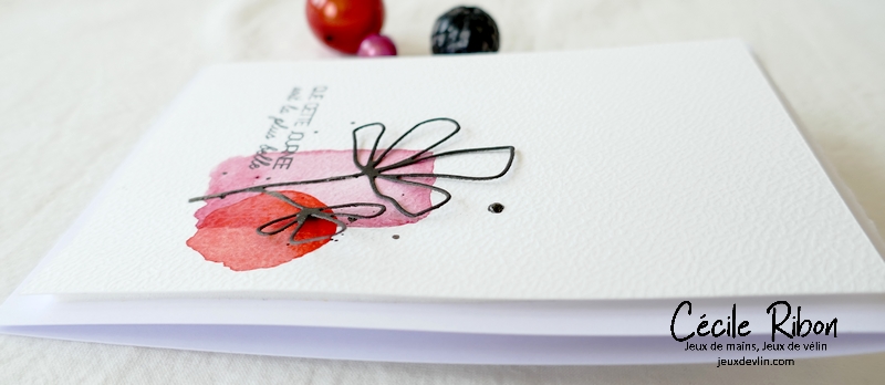 Carte CC&S465 - P1320298