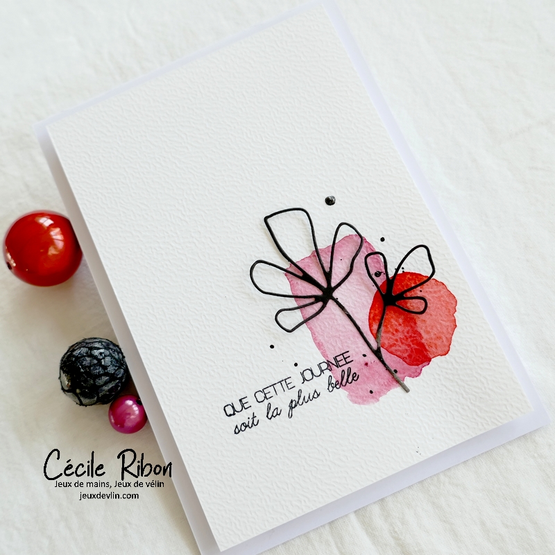 Carte CC&S465 - P1320309