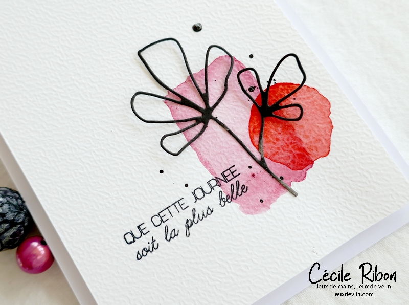 Carte CC&S465 - P1320311