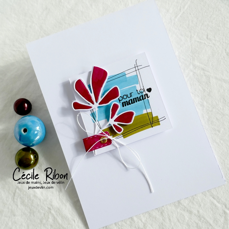 Carte CC&S466 - P1320715