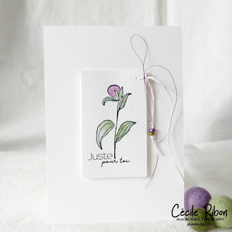 carte CTD686 - P1320026