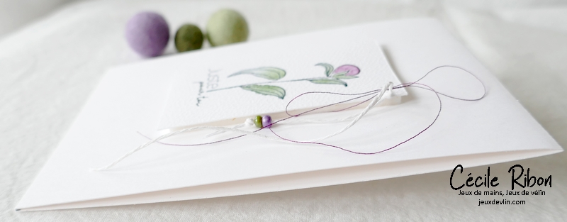 Carte CTD686 - P1320031