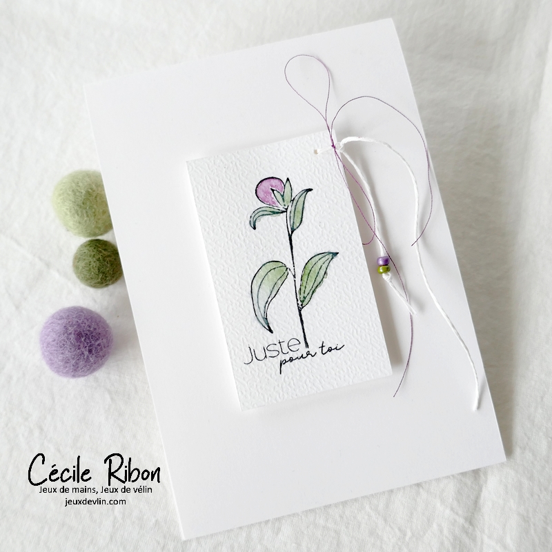 Carte CTD686 - P1320037