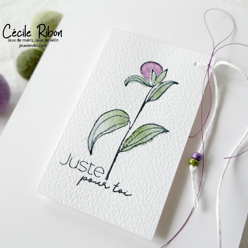 Carte CTD686 - P1320042