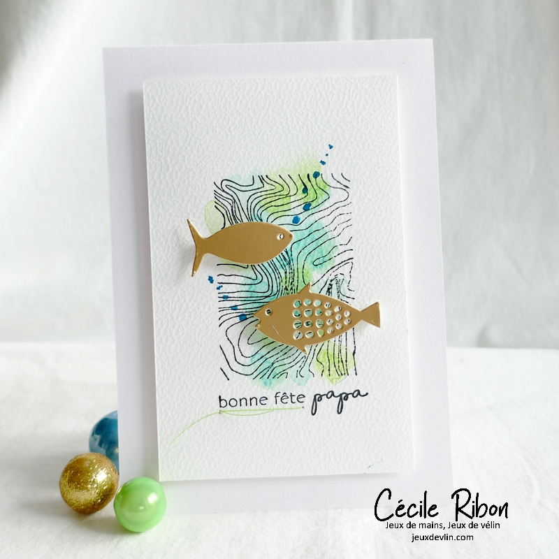 Carte CTD687 - P1320201