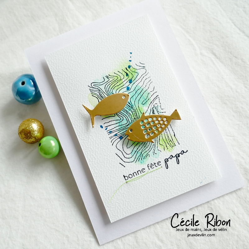 Carte CTD687 - P1320214