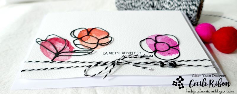 Carte FMS531 - P1320325