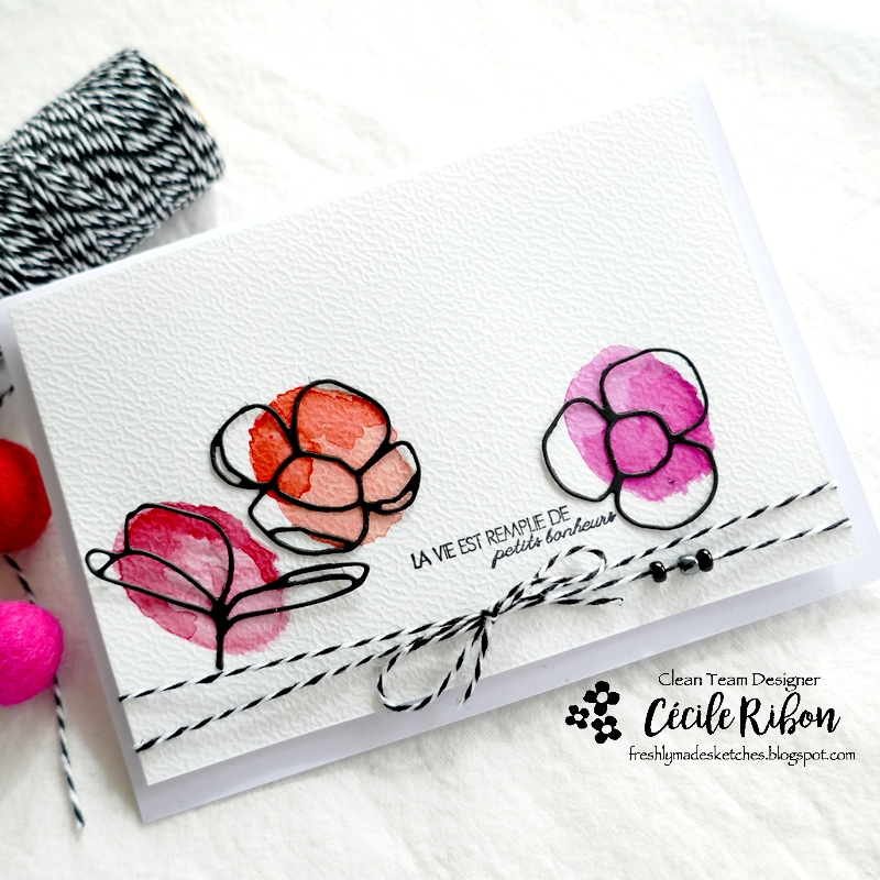 Carte FMS531 - P1320334