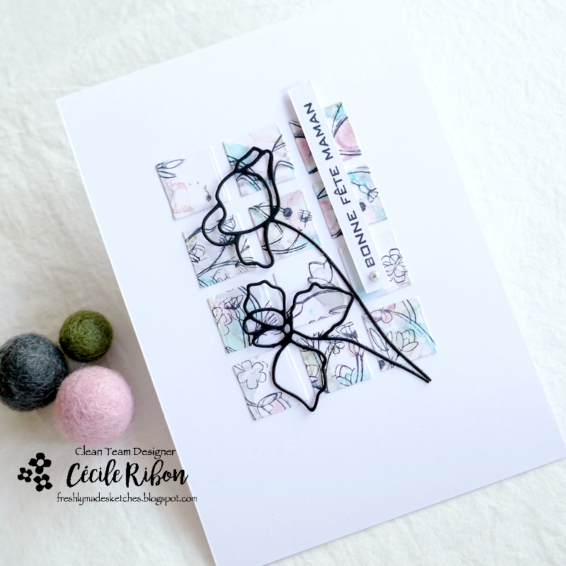 carte FMS532 - P1320779