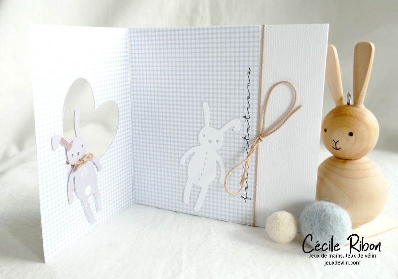 Carte JUGS630 - P1330025