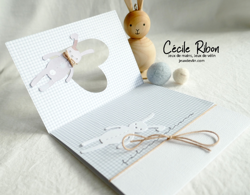 Carte JUGS630 - P1330053