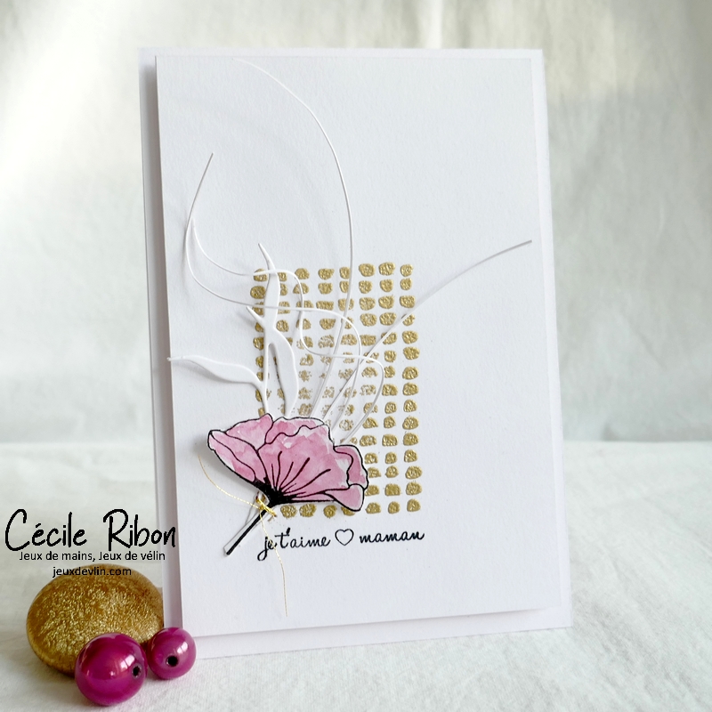 Carte LIM461 - P1320170