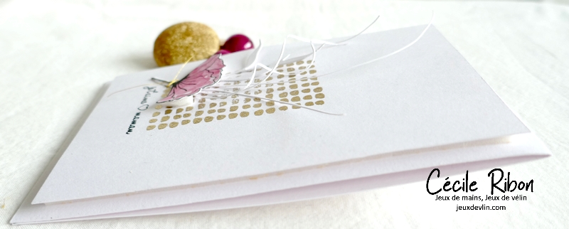 Carte LIM461 - P1320179