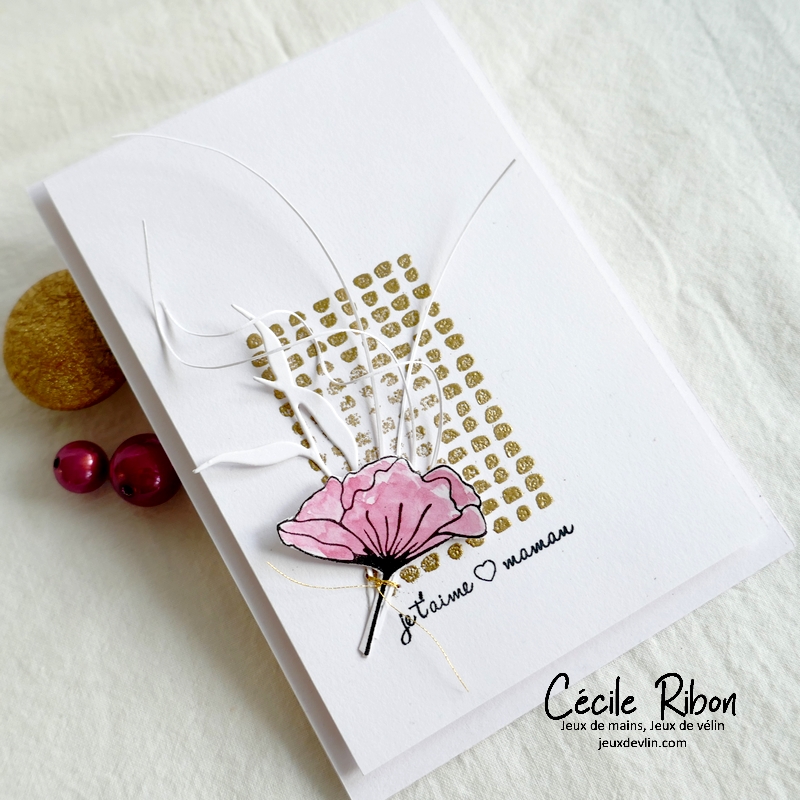 Carte LIM461 - P1320189