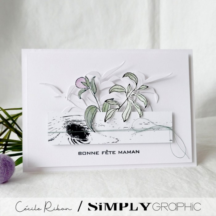 Carte SG11 - P1320053