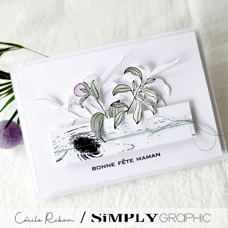 Carte SG11 - P1320056