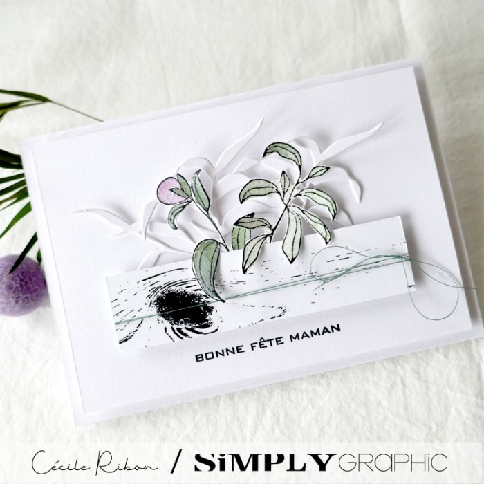 Carte SG11 - P1320056