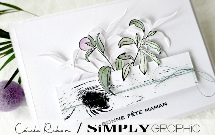 Carte SG11 - P1320062