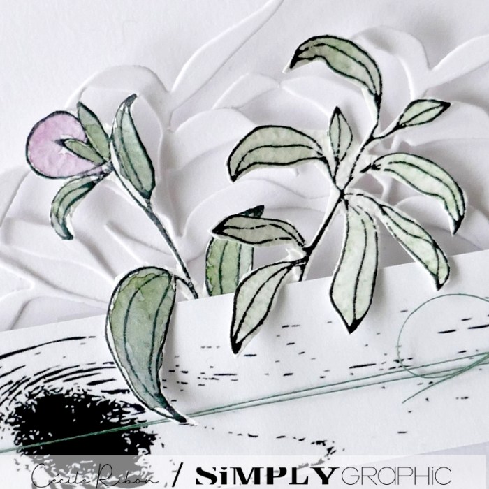 Carte SG11 - P1320064