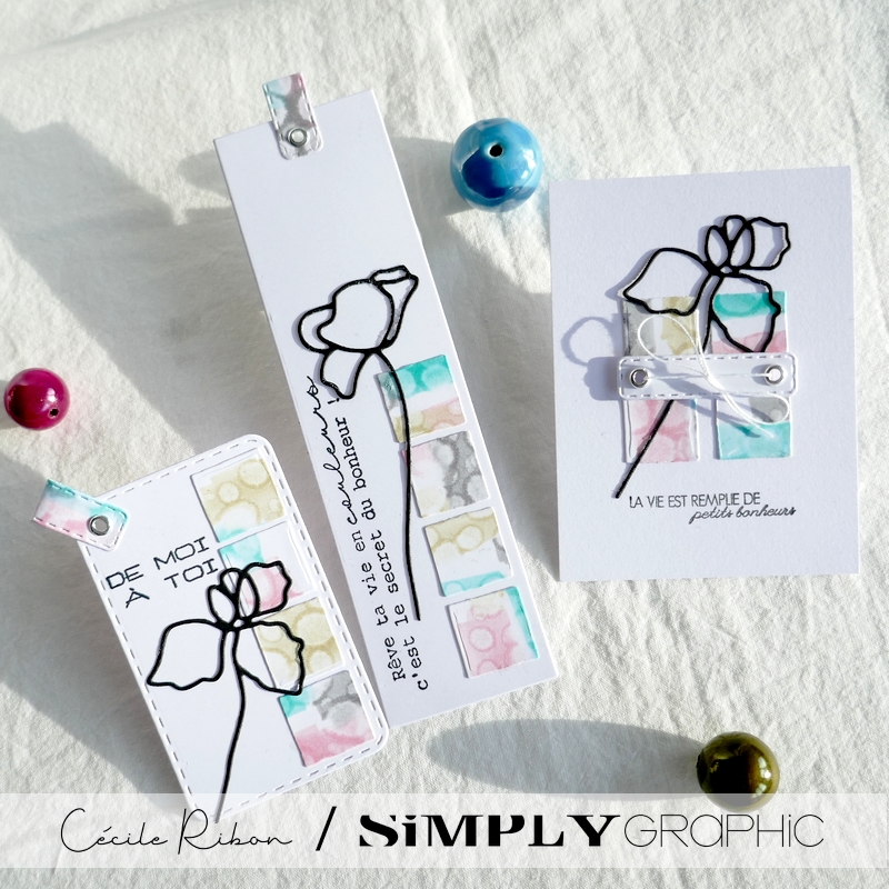 TutoSG08 10 - P1320681