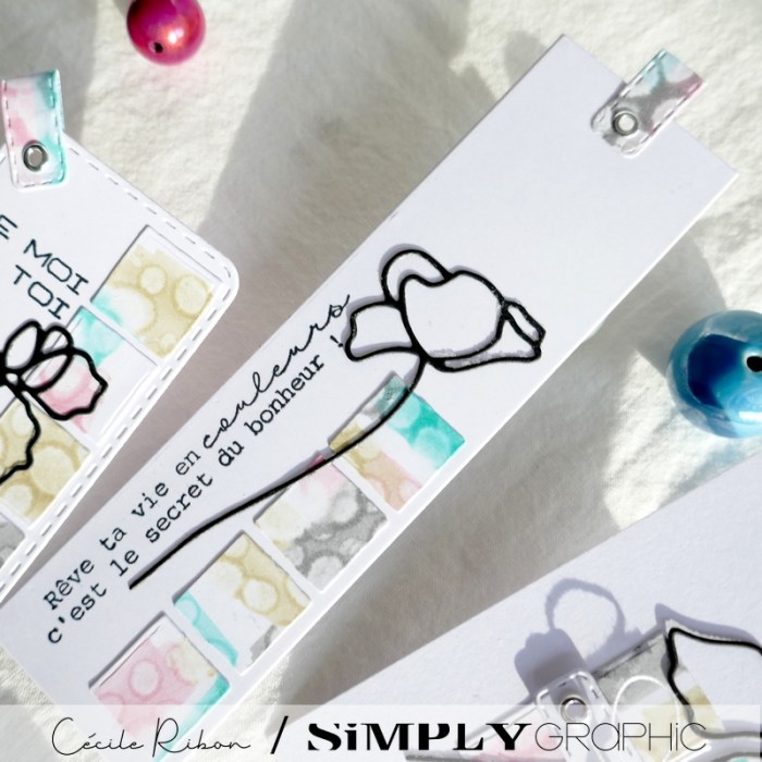 TutoSG08 10 - P1320684