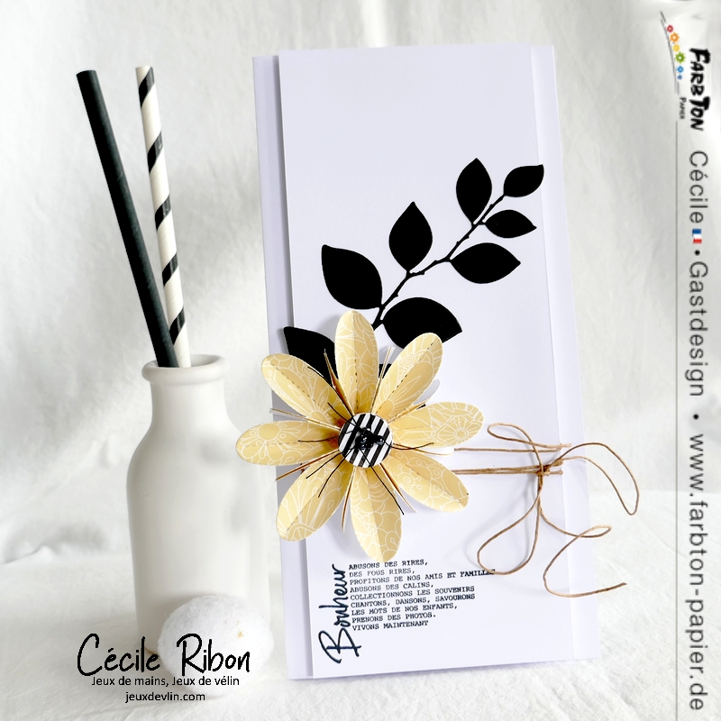 Carte CBBB70 - P1330249