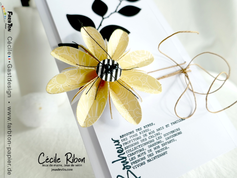 Carte CBBB70 - P1330251