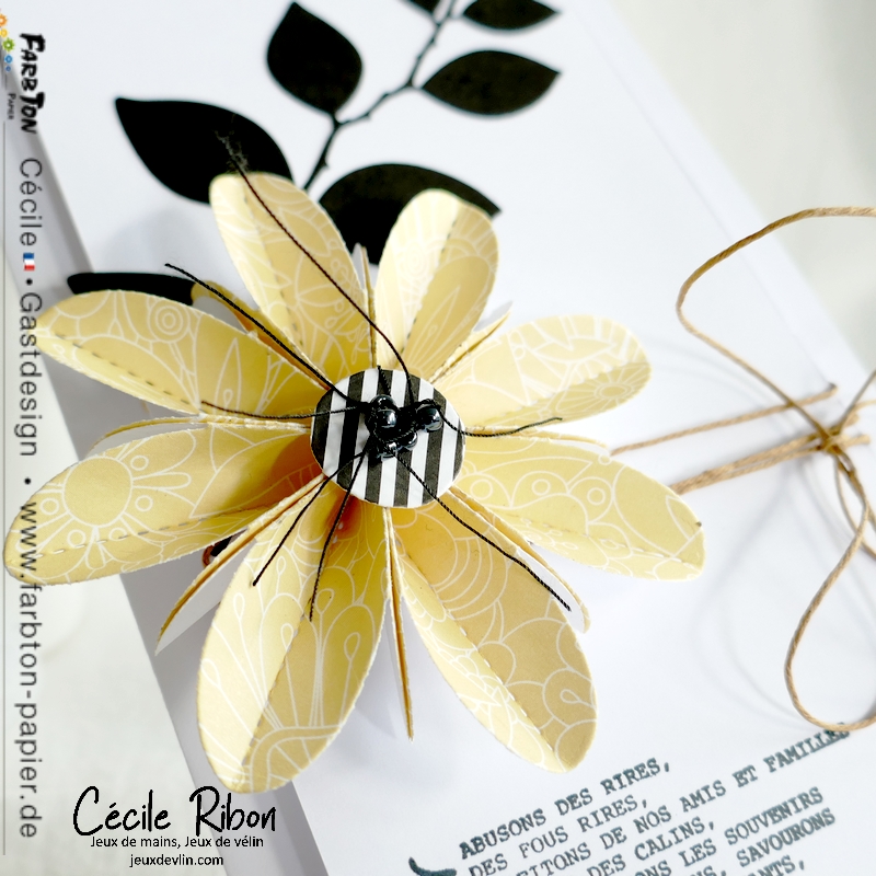 Carte CBBB70 - P1330253