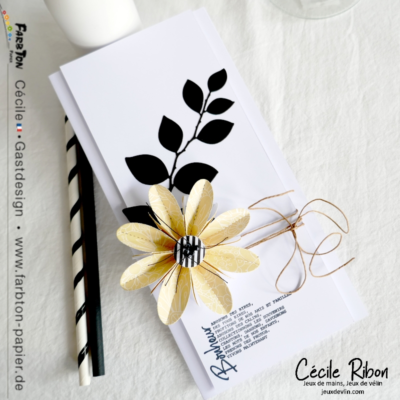 Carte CBBB70 - P1330256