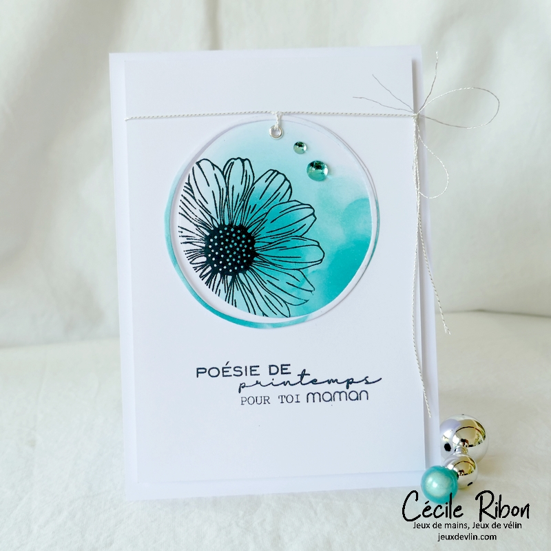 Carte CC&S470 - P1330464