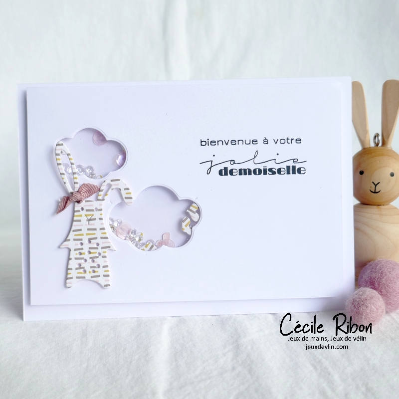 Carte CC&S471 - P1330611