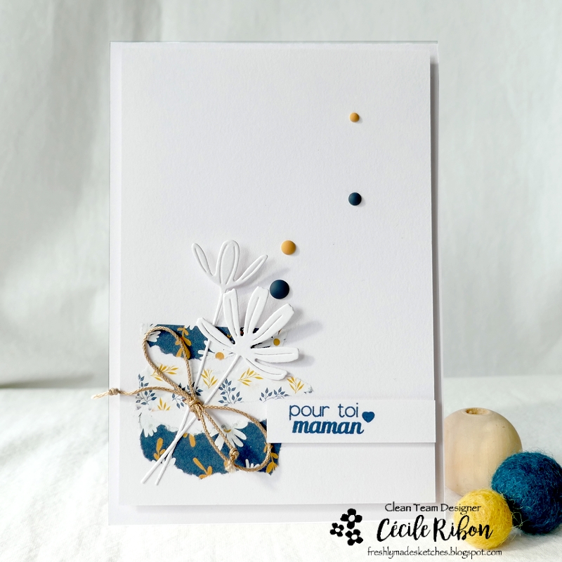 Carte FMS534 - P1330129