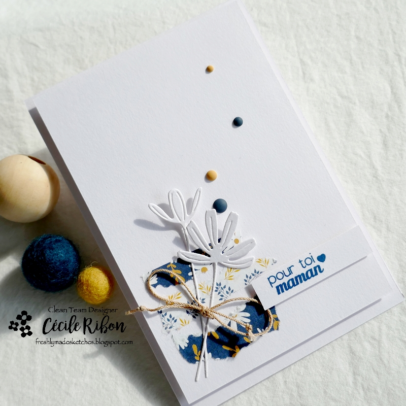 Carte FMS534 - P1330142