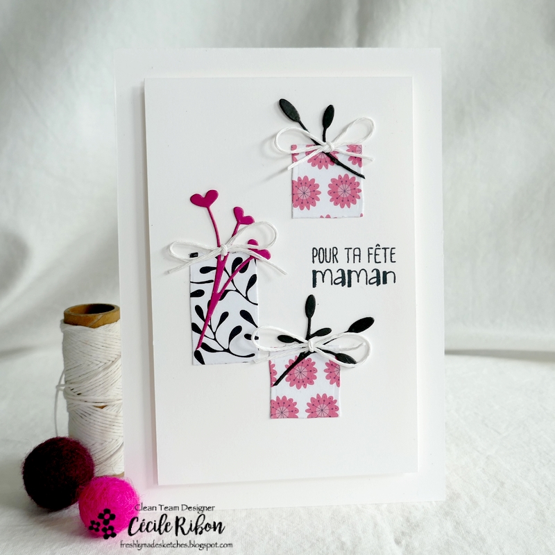 carte FMS536 - P1330505