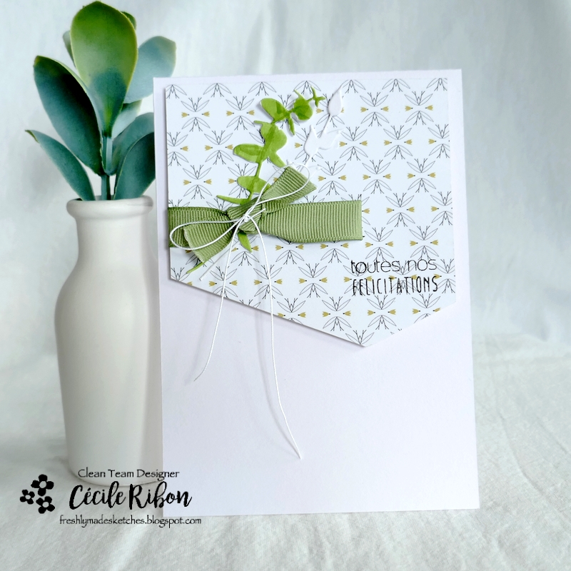 carte FMS537 - P1330635