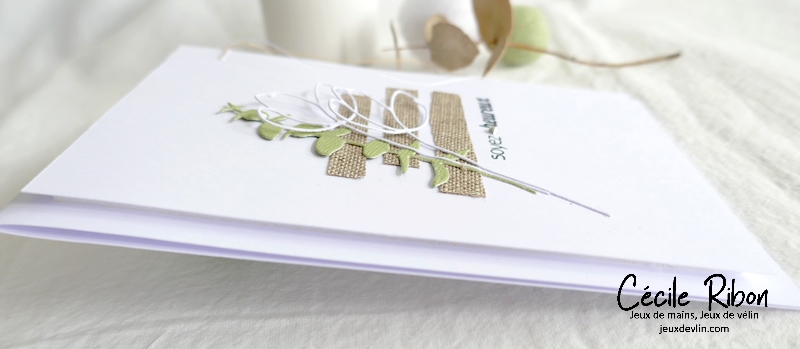 Carte JUGS634 - P1330693