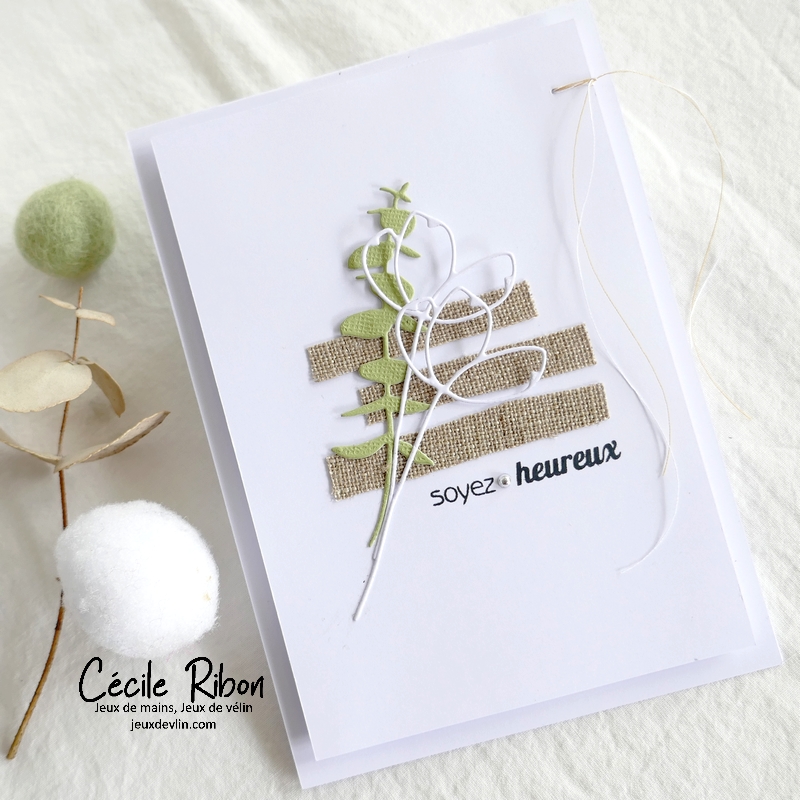 Carte JUGS634 - P1330698