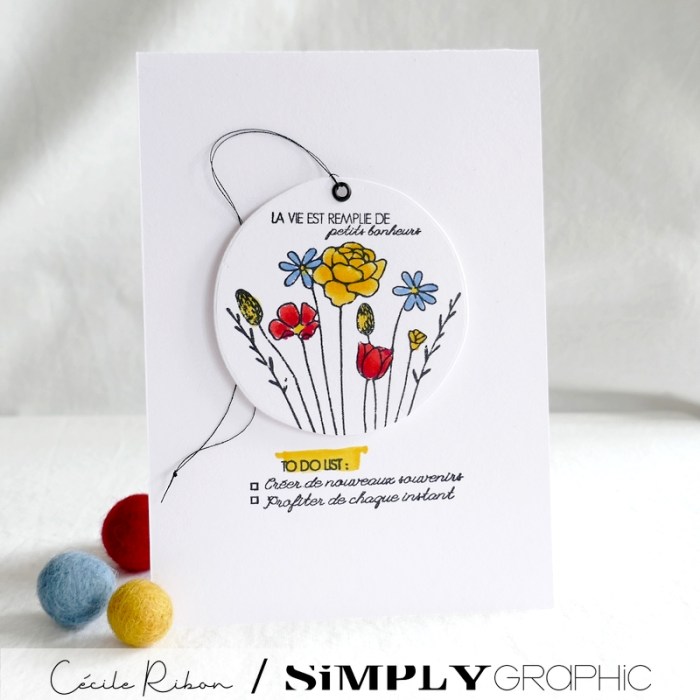 Carte SG12 - P1330178