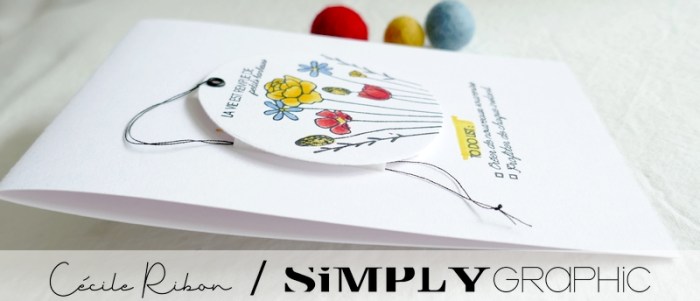 Carte SG12 - P1330182