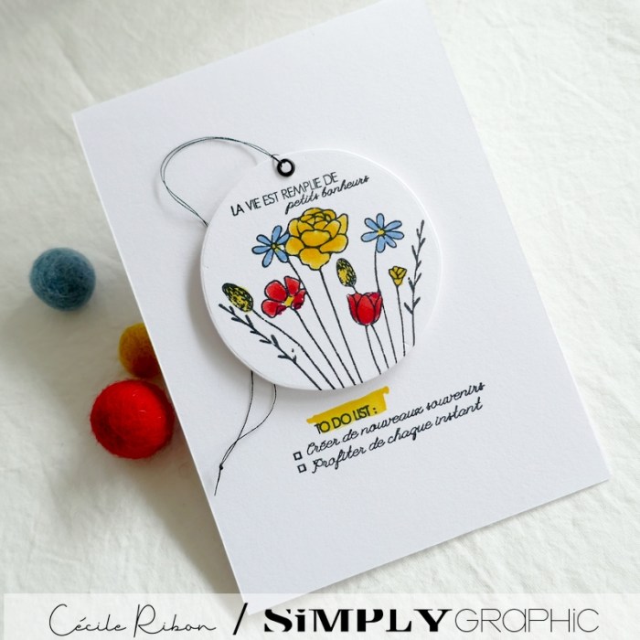 Carte SG12 - P1330189