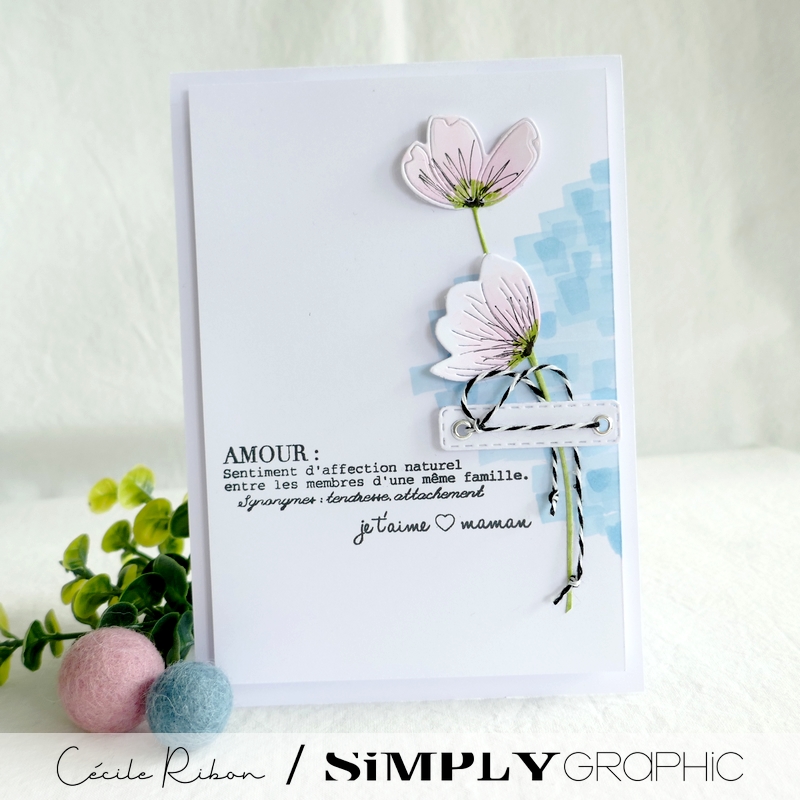 Carte SGx02 - P1330364