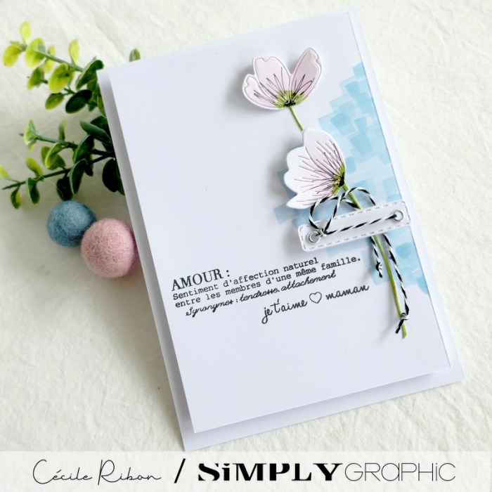 Carte SGx02 - P1330380