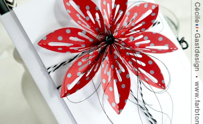 DT Farbton Papier :&nbsp;Rouge