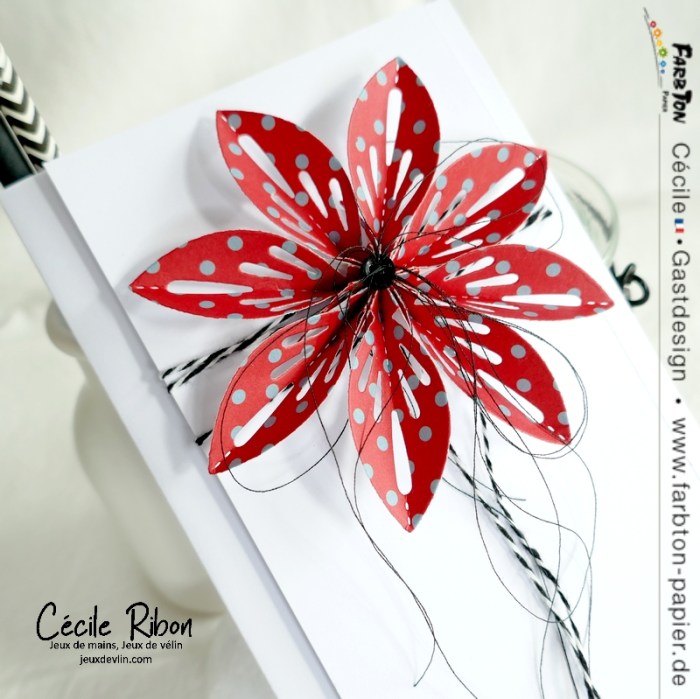 FarbtonP03 - P1330271