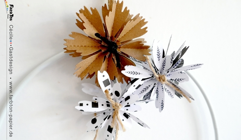 FarbtonP04 - P1330492