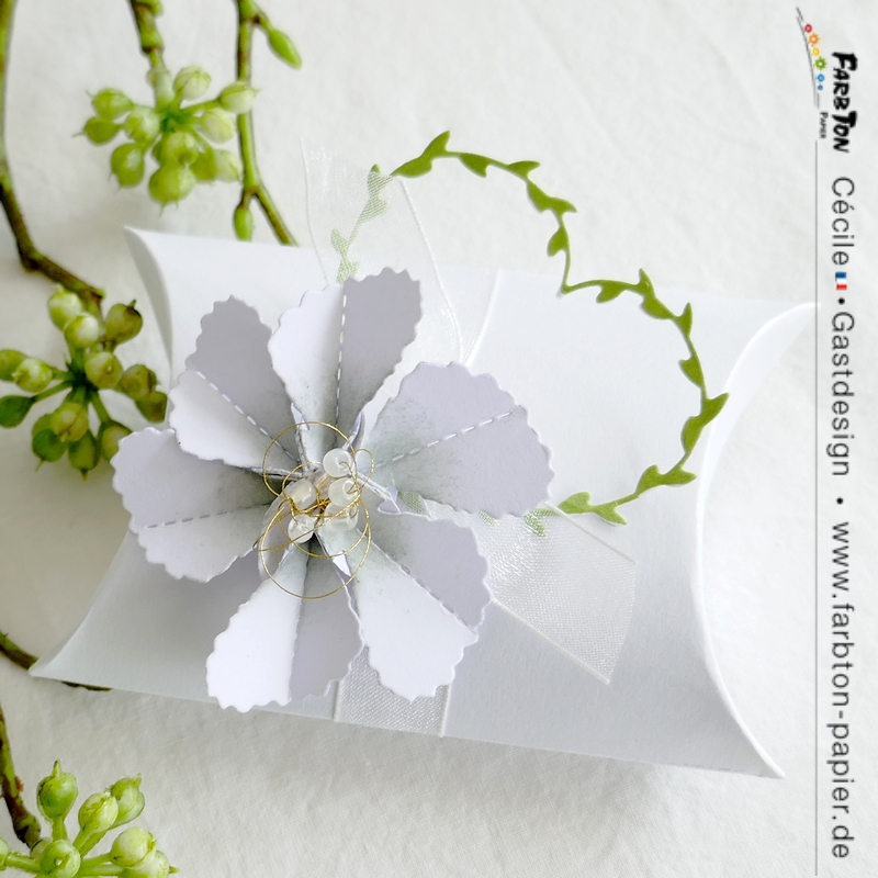 FarbtonP05 - P1330669