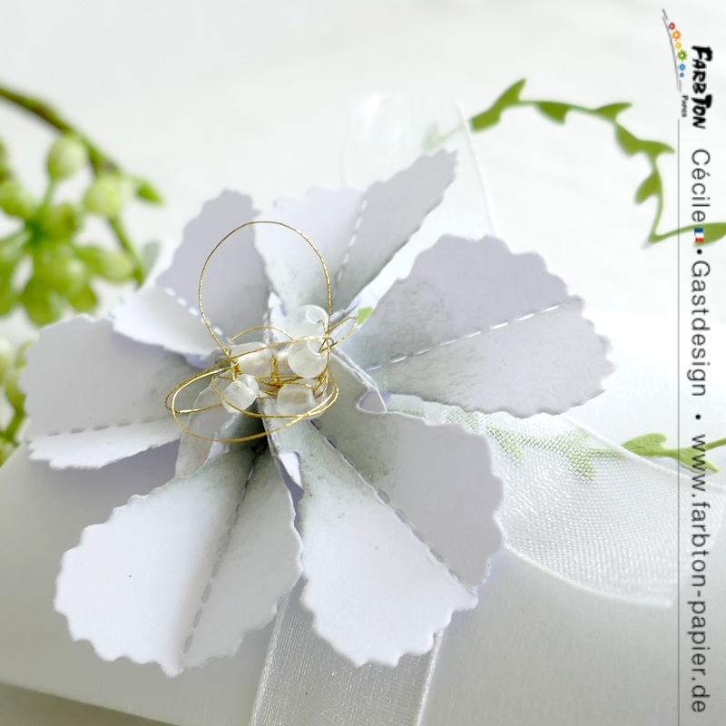 FarbtonP05 - P1330678